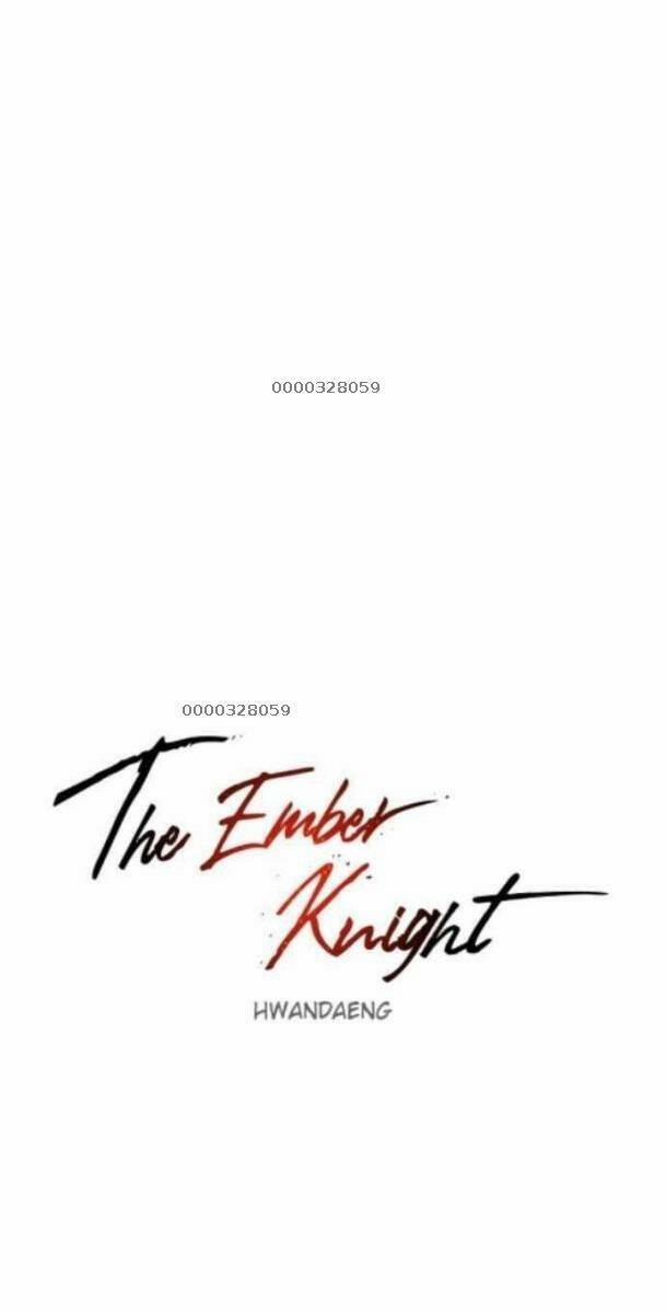 Kỵ Sĩ Báo Thù 52 trang 14