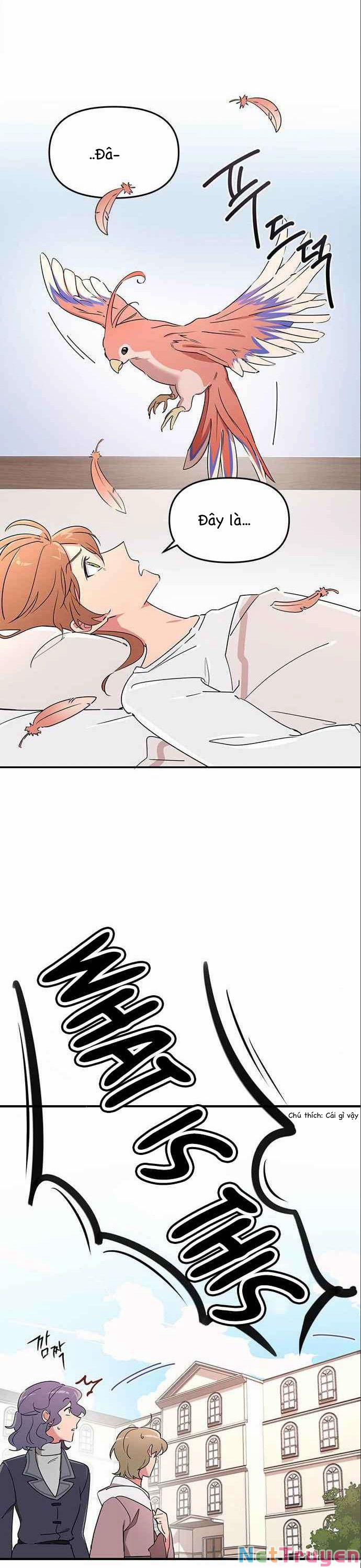 Ký Túc Xá Của Phù Thuỷ Độc Thân 5 trang 25