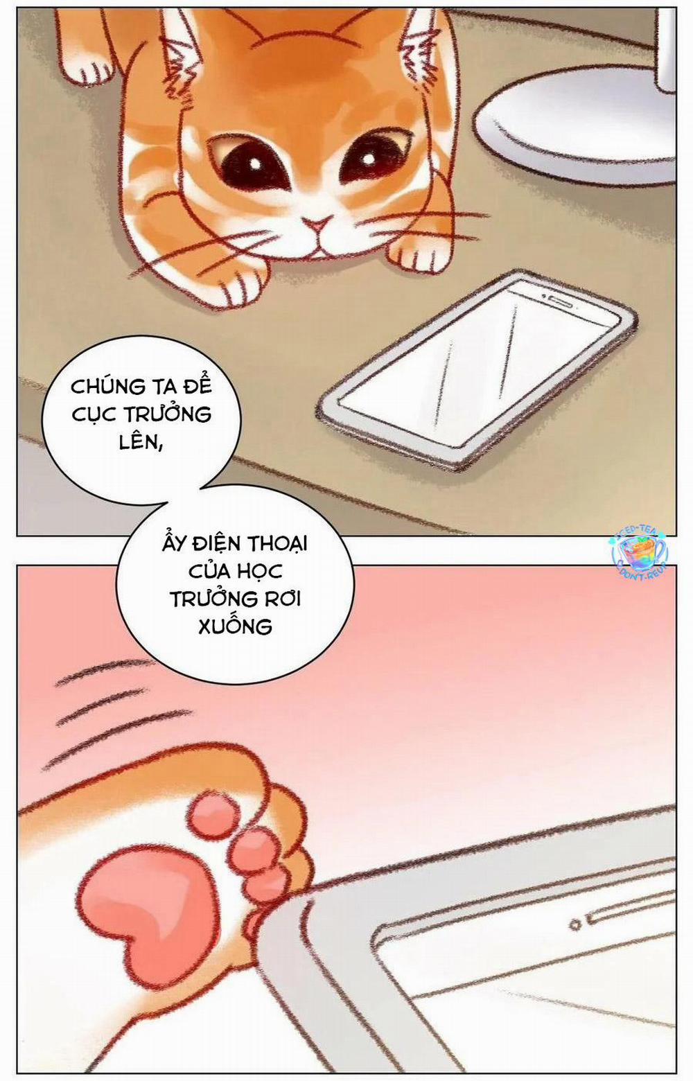 Ký túc xá nam phòng 303 196 trang 11