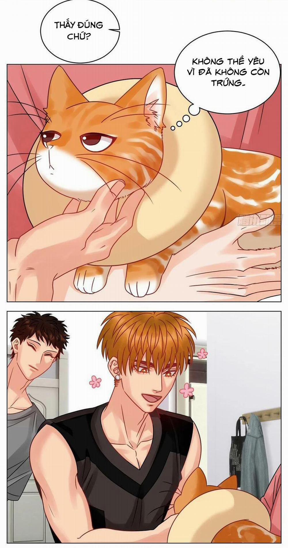 Ký túc xá nam phòng 303 204 trang 4