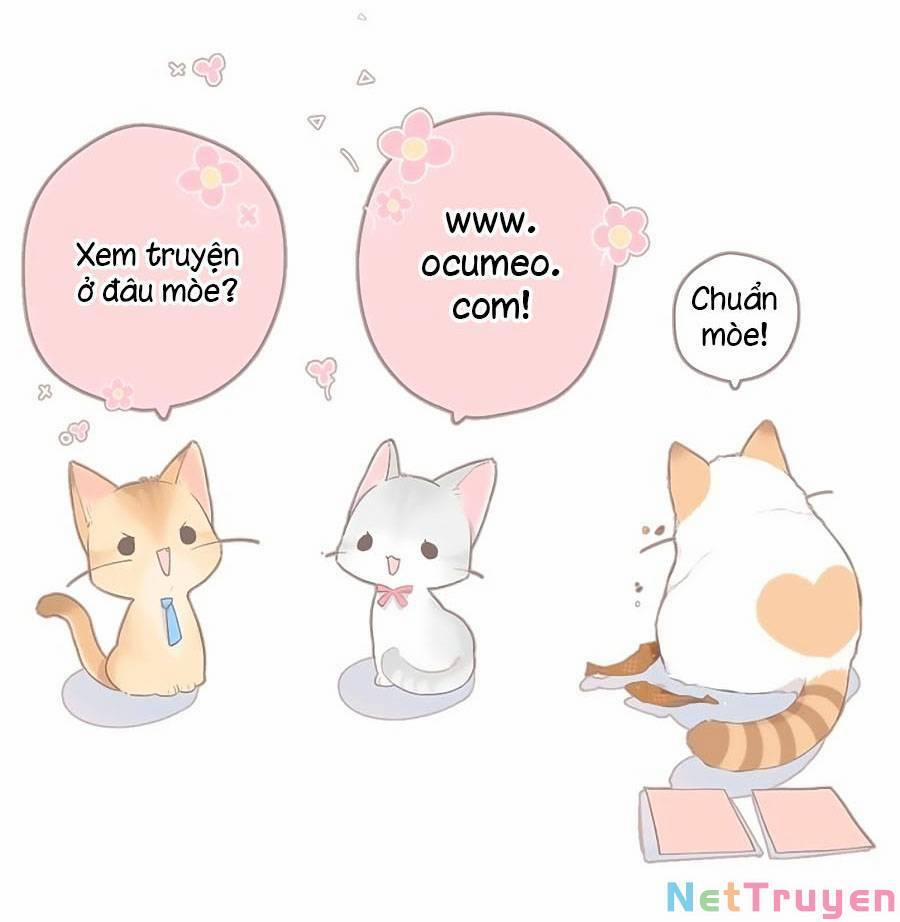 Lại Gặp Được Em 113 trang 9