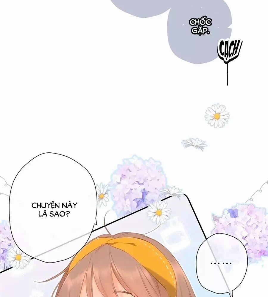 Lại Gặp Được Em 28 trang 24