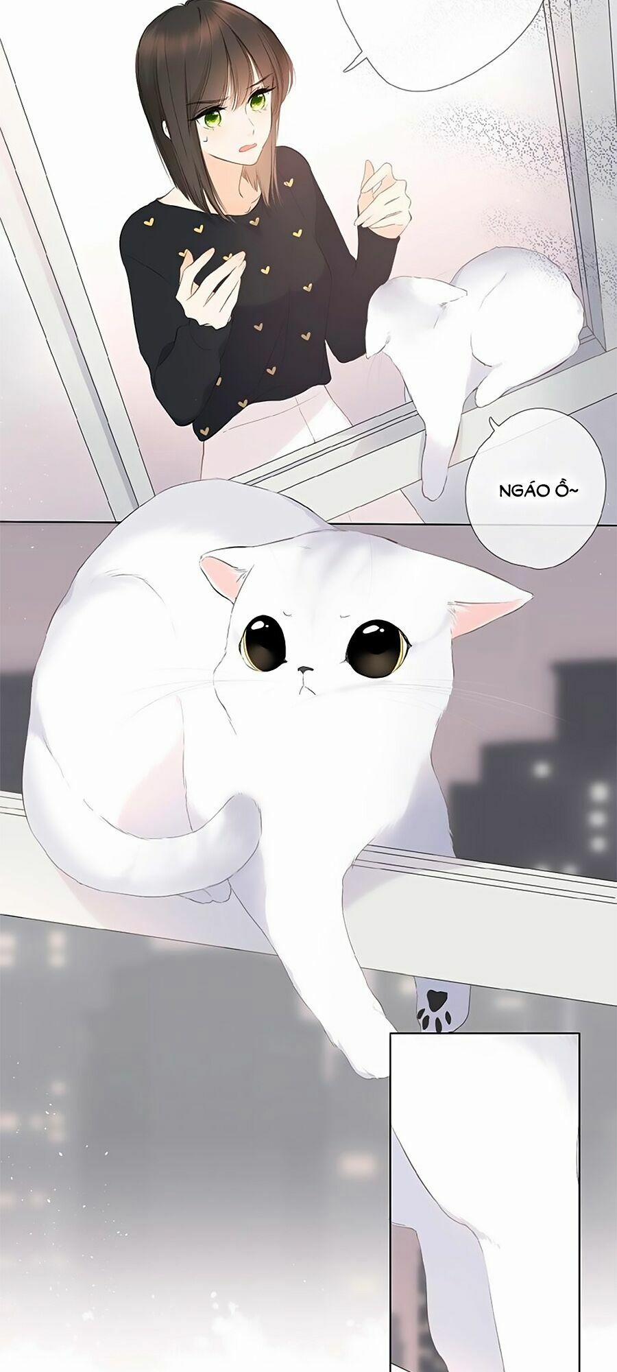 Lại Gặp Được Em 4 trang 11