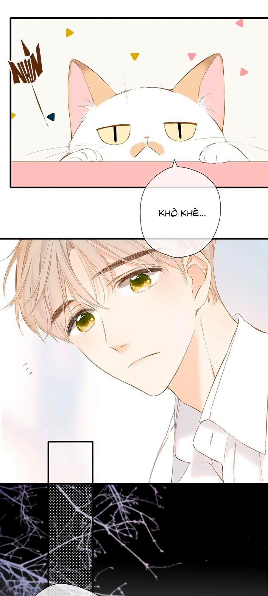 Lại Gặp Được Em 43 trang 7