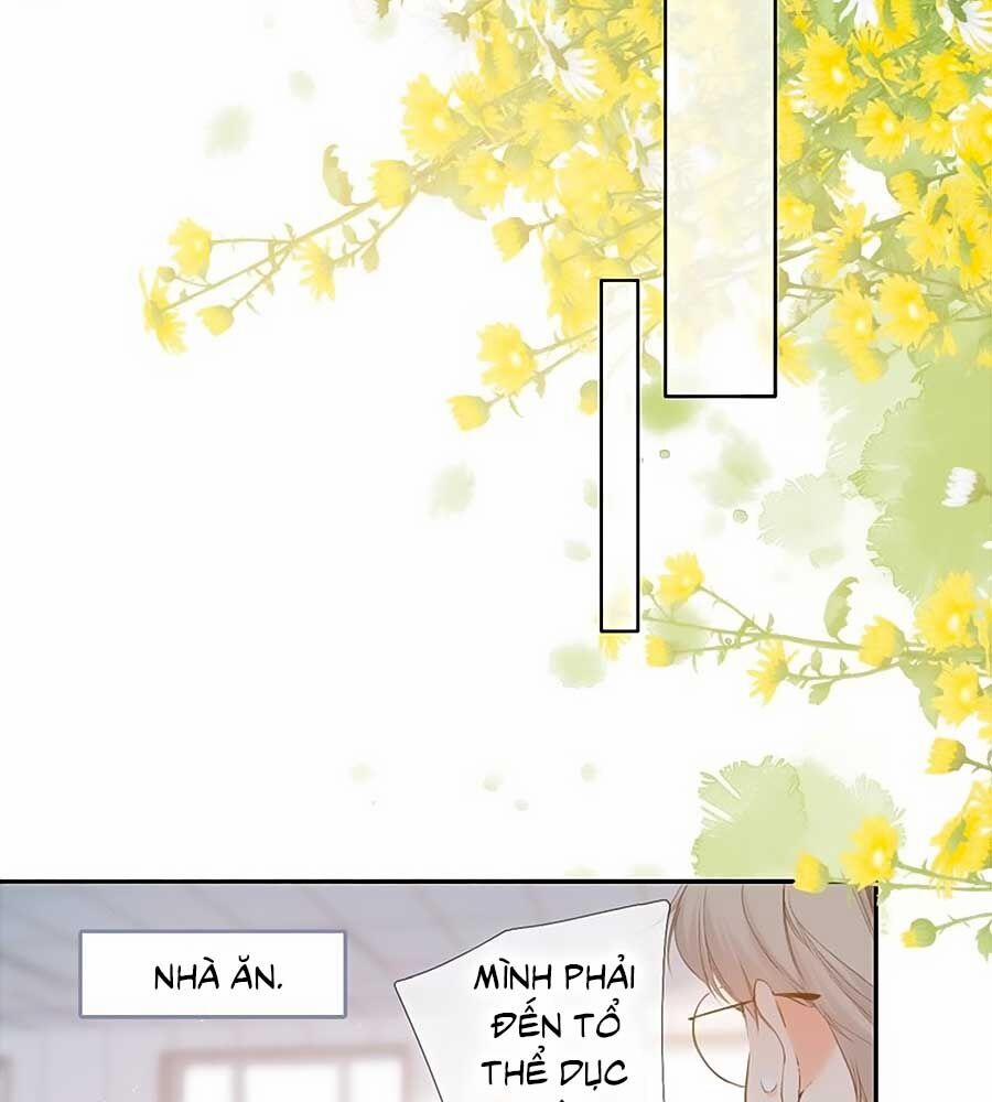 Lại Gặp Được Em 54 trang 4