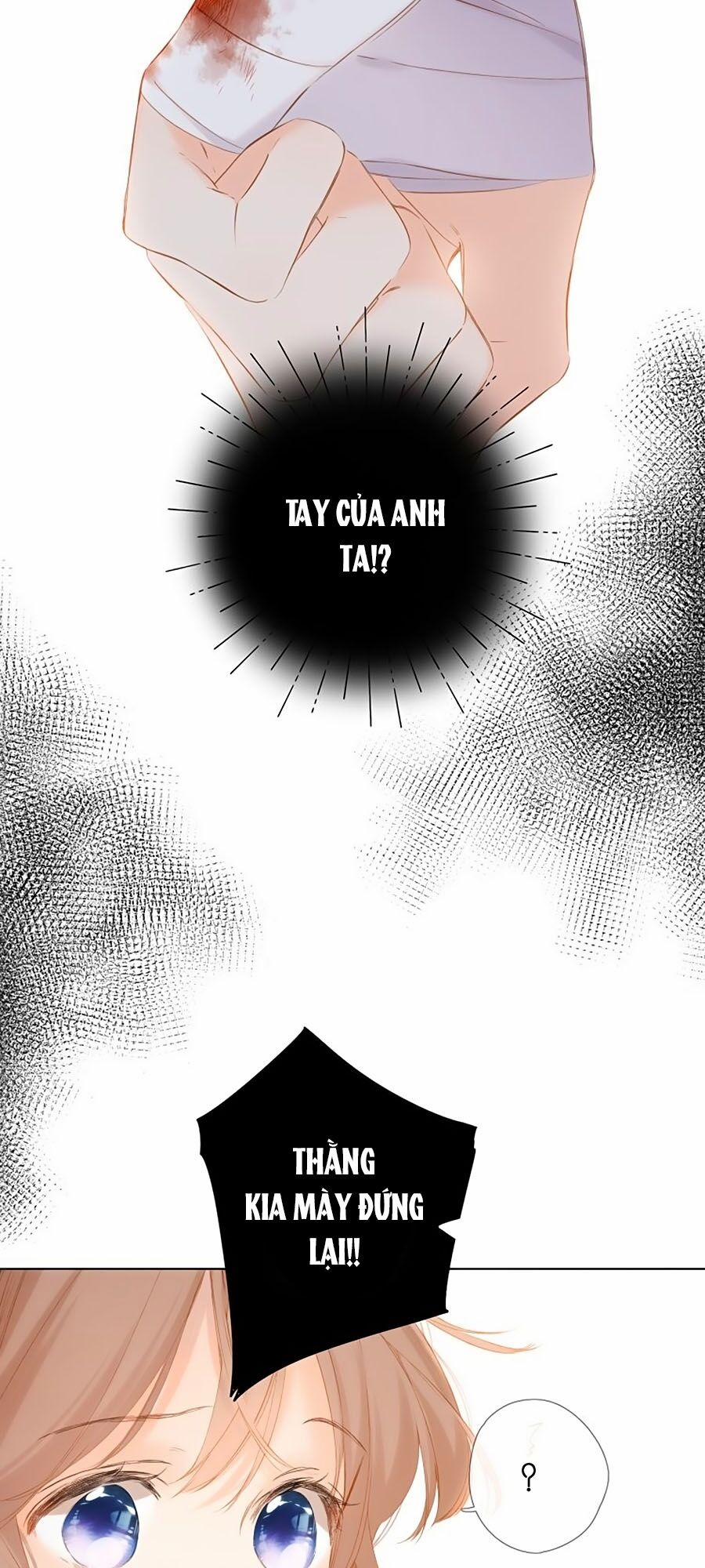 Lại Gặp Được Em 72 trang 5