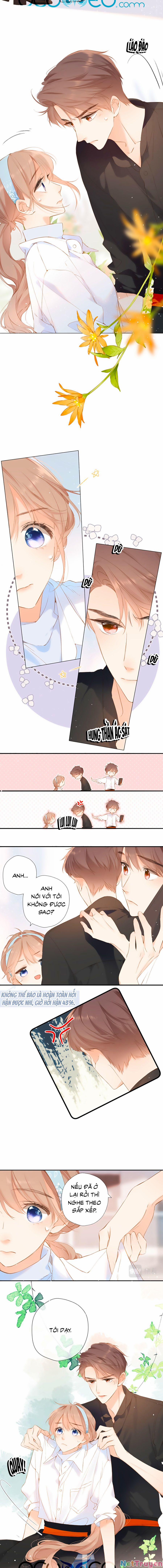 Lại Gặp Được Em 95 trang 3