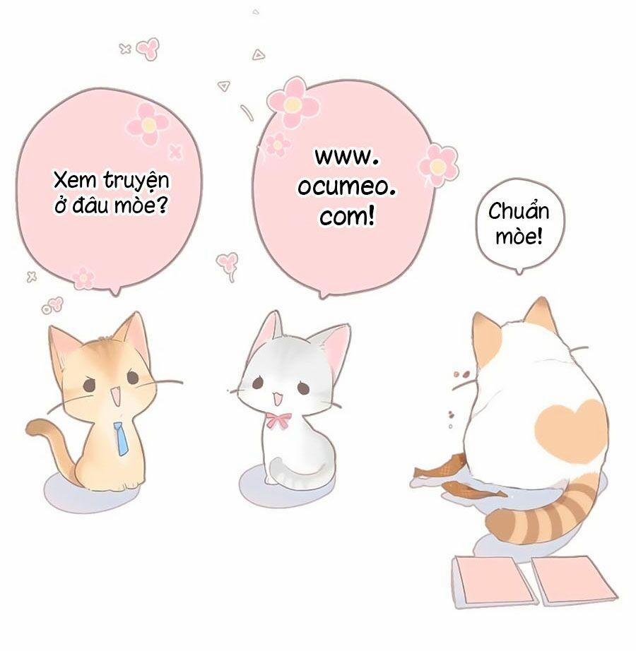 Lại Gặp Được Em 96 trang 30