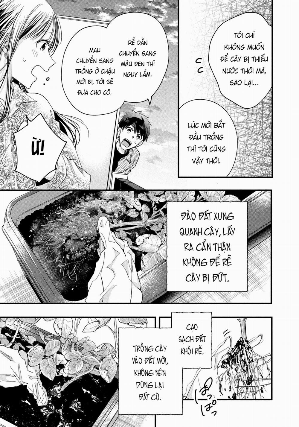 Lại Gặp Nhau Ở Ban Công Rồi 50 trang 11