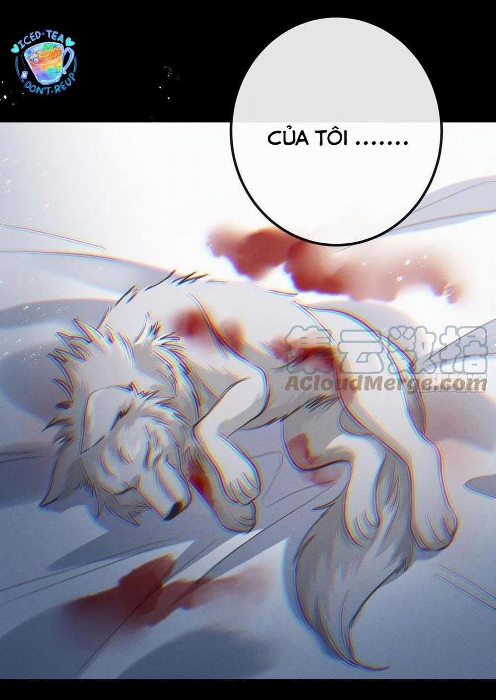 Lang Sói Thượng Khẩu 21 trang 9