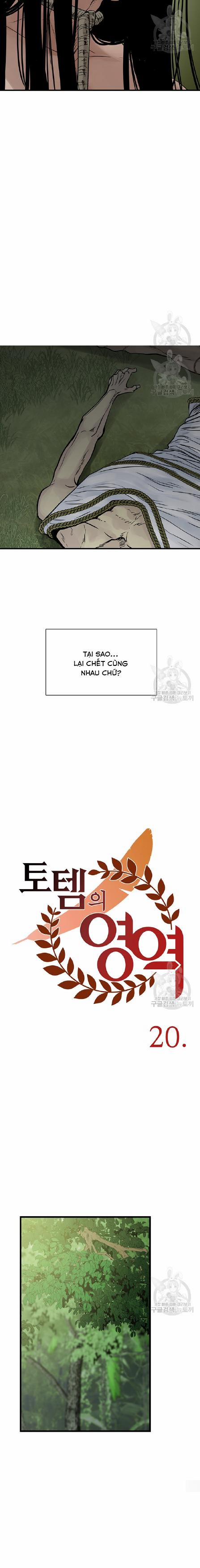 Lãnh Địa Totem 20 trang 1