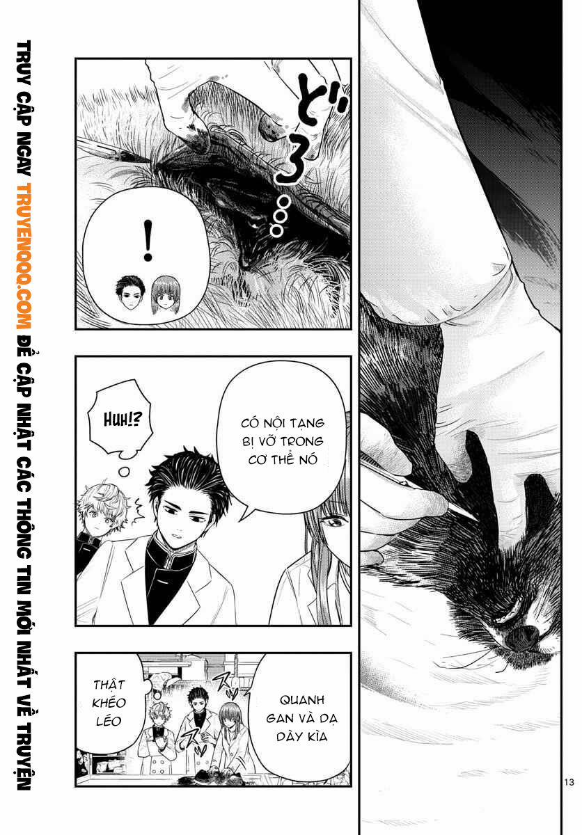 Last Karte 2 trang 13