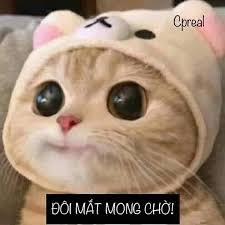 LAT 0 Khởi đầu của việc làm máy đẻ trang 25