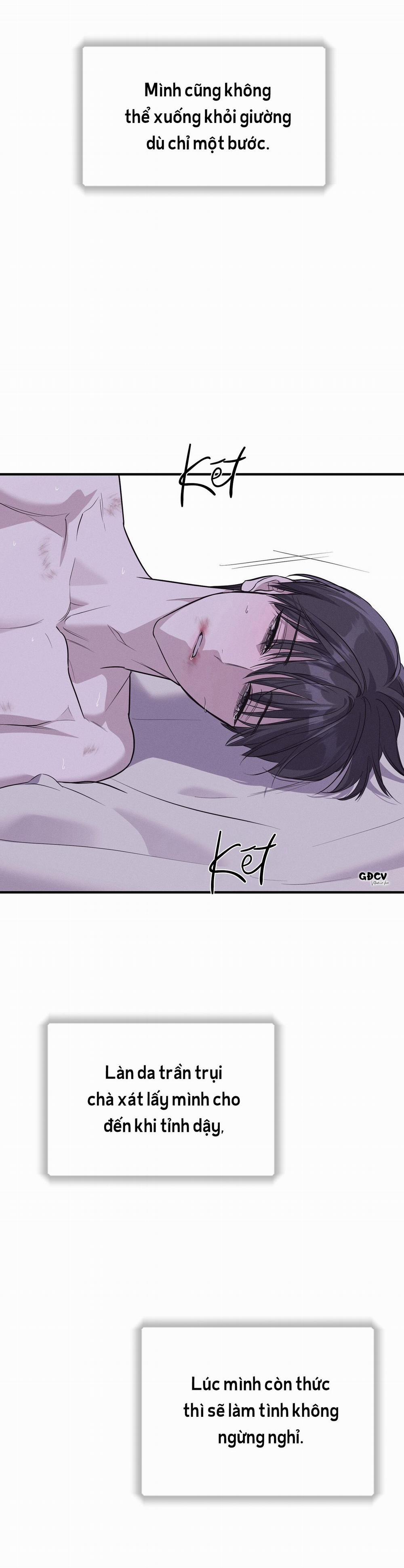 Lâu Đài Gỗ Mun 13 trang 22