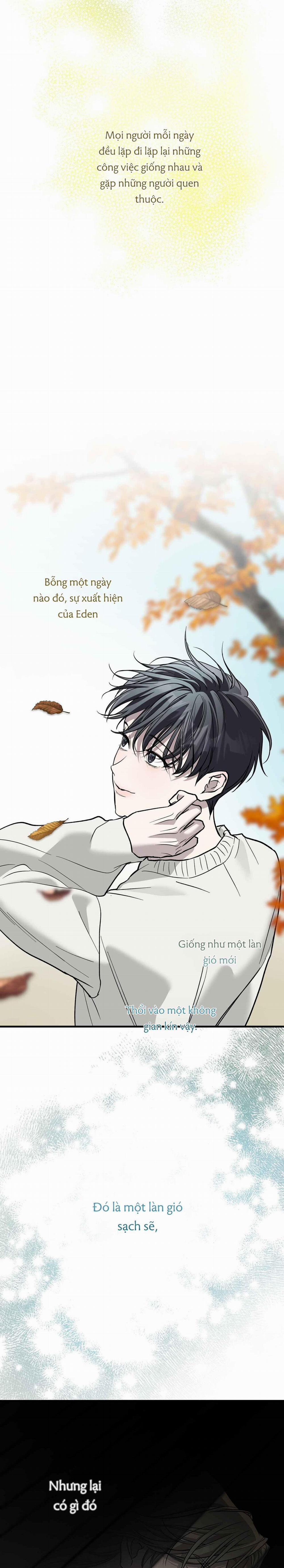 Lâu Đài Gỗ Mun 19 trang 13