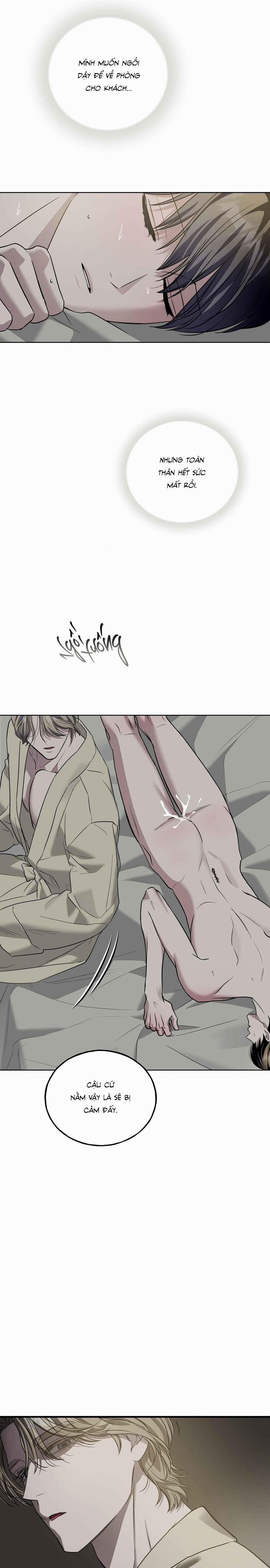 Lâu Đài Gỗ Mun 19 trang 17