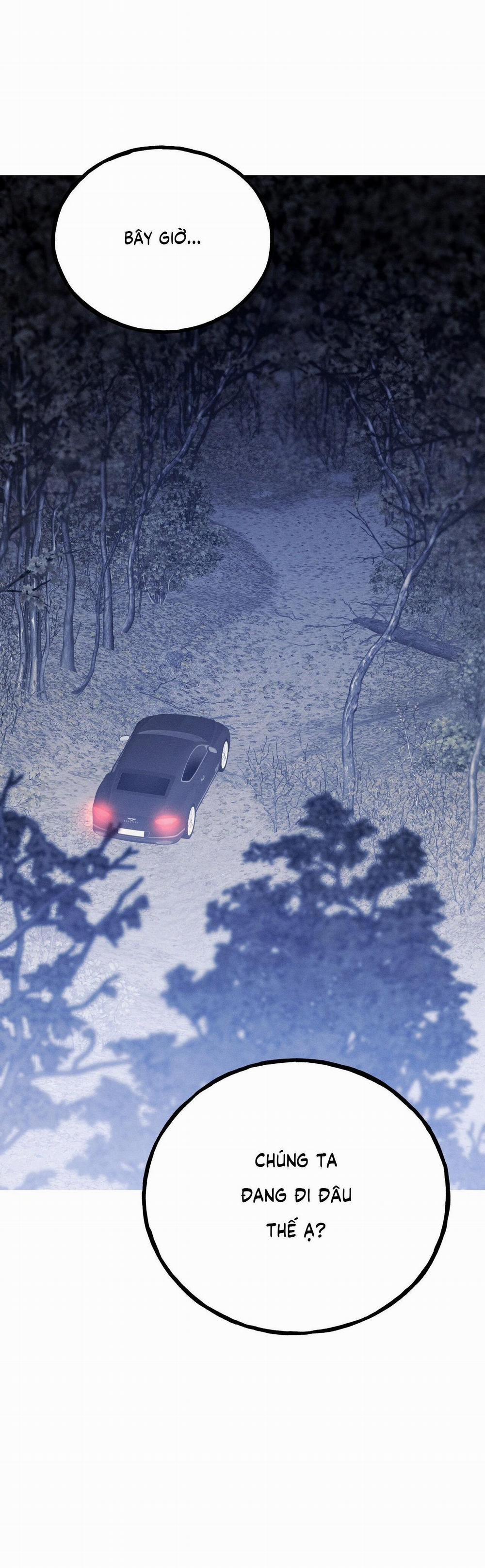 Lâu Đài Gỗ Mun 5 trang 15