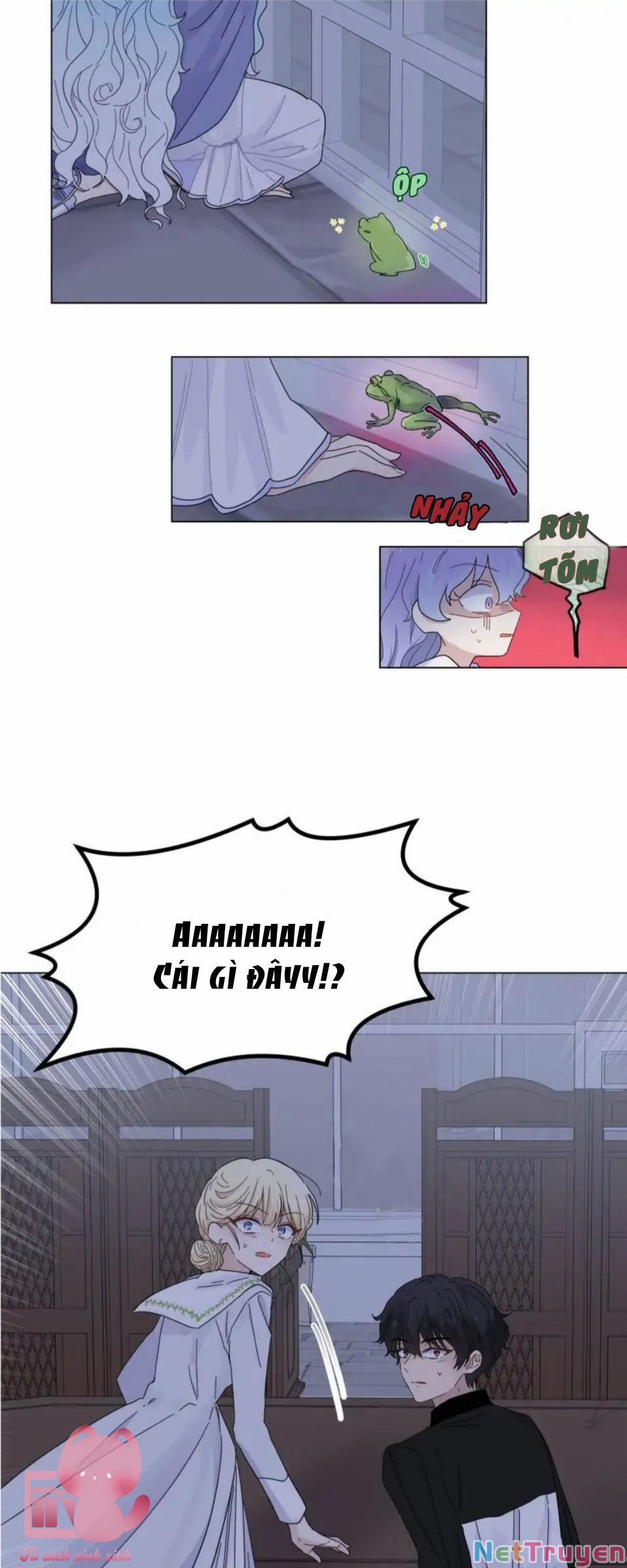 Lấy Đi Trái Tim Nàng Tiên Cá 8 trang 12