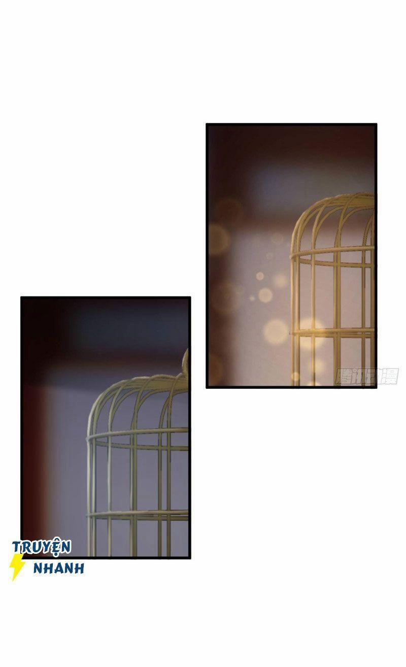 Lễ Băng Nhạc Phôi Chi Dạ 13 trang 10