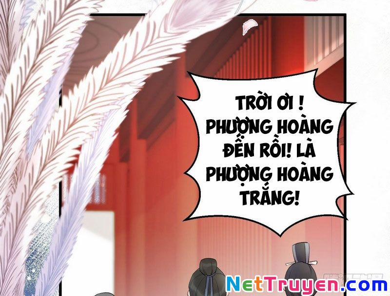 Lễ Băng Nhạc Phôi Chi Dạ 2 trang 25