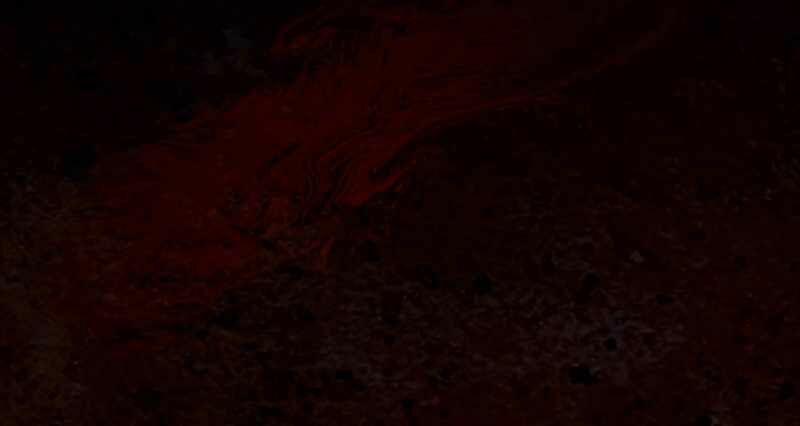 Lên Cấp Từ Max Level 28 trang 171