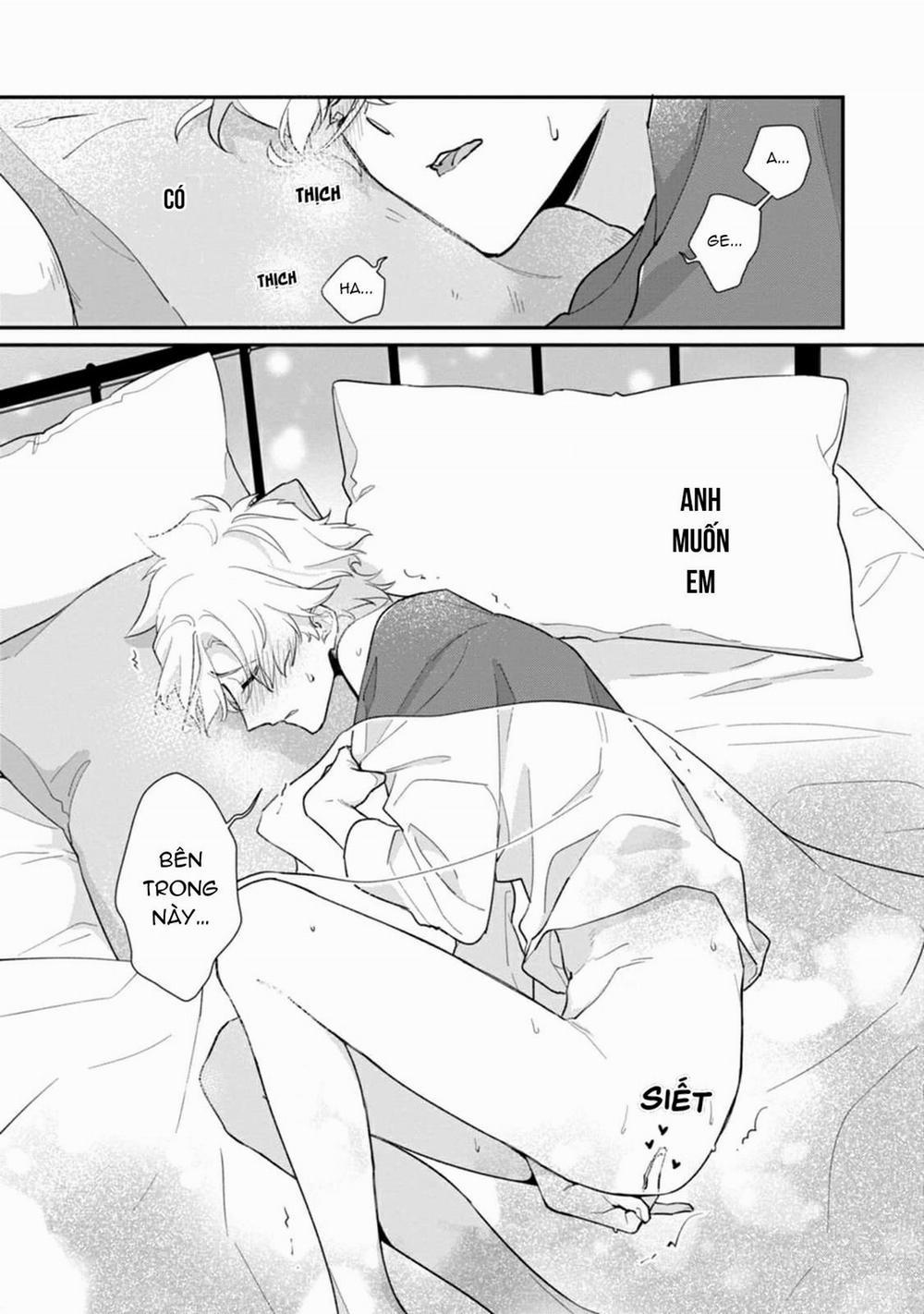 Liên Kết Của Chúng Ta 16 trang 8