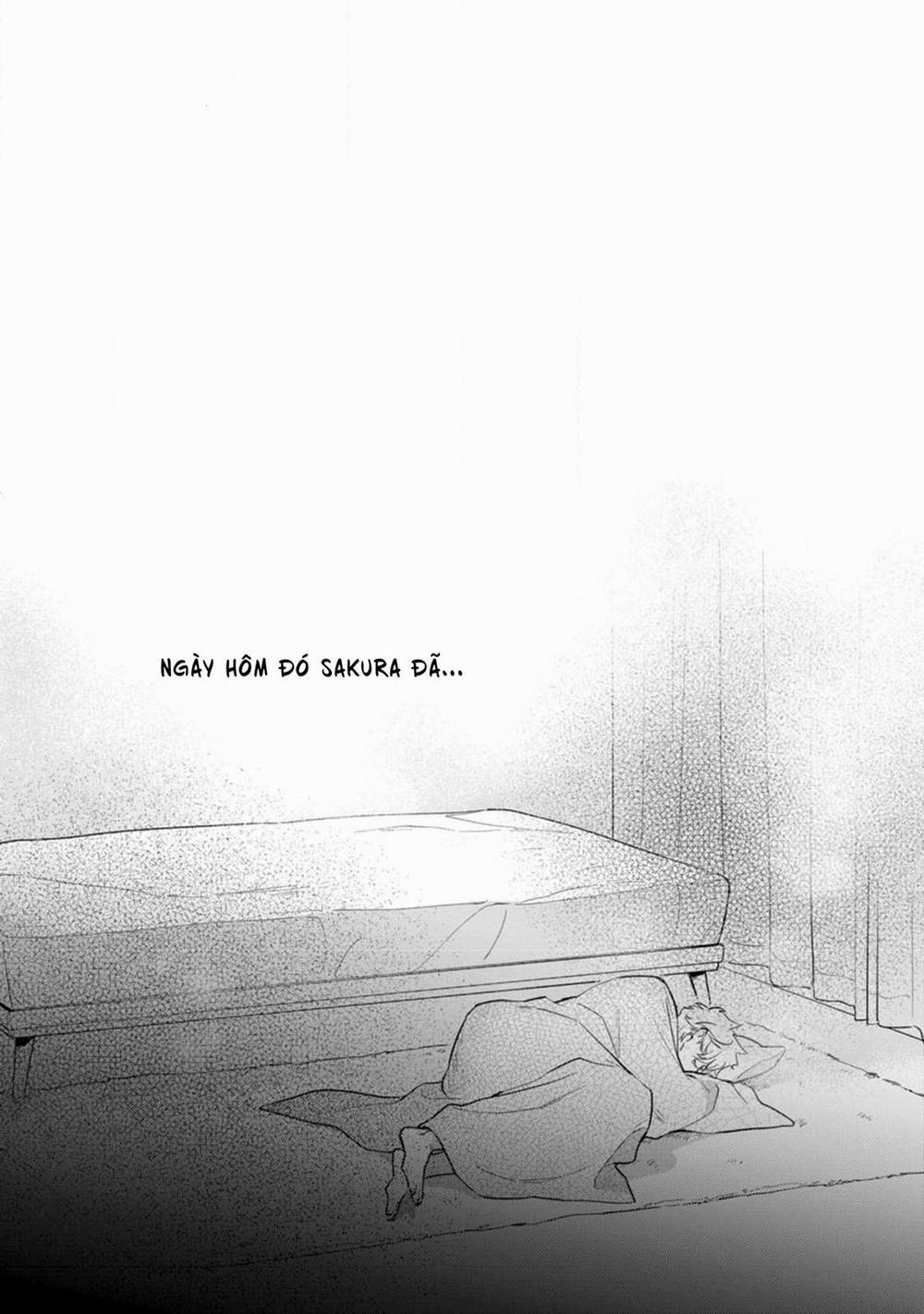 Liên Kết Của Chúng Ta 5 trang 5