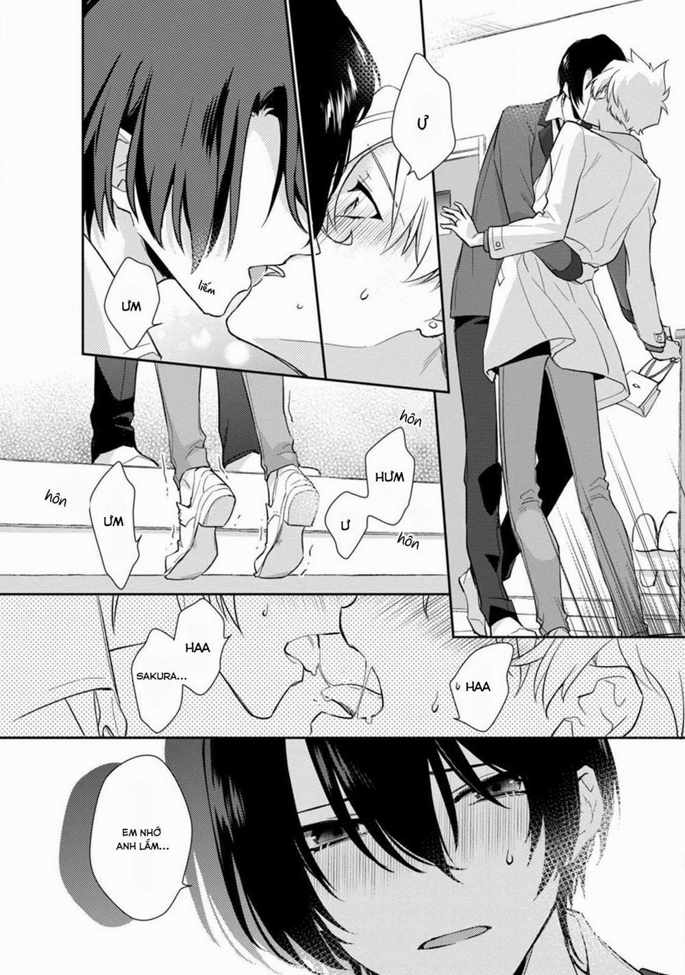 Liên Kết Của Chúng Ta 7 trang 13