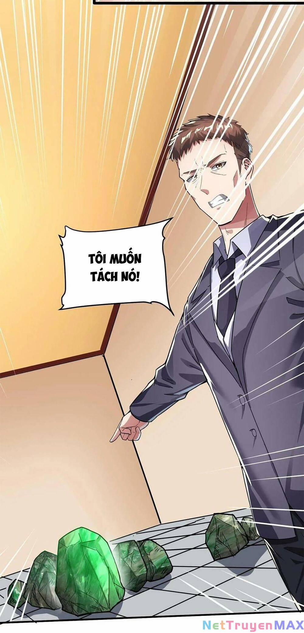 Linh Khí Khôi Phục: Ta Mỗi Ngày Thu Được Một Cái Kỹ Năng Mới 100 trang 19