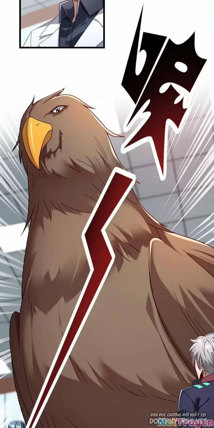 Linh Khí Khôi Phục: Ta Mỗi Ngày Thu Được Một Cái Kỹ Năng Mới 60 trang 14