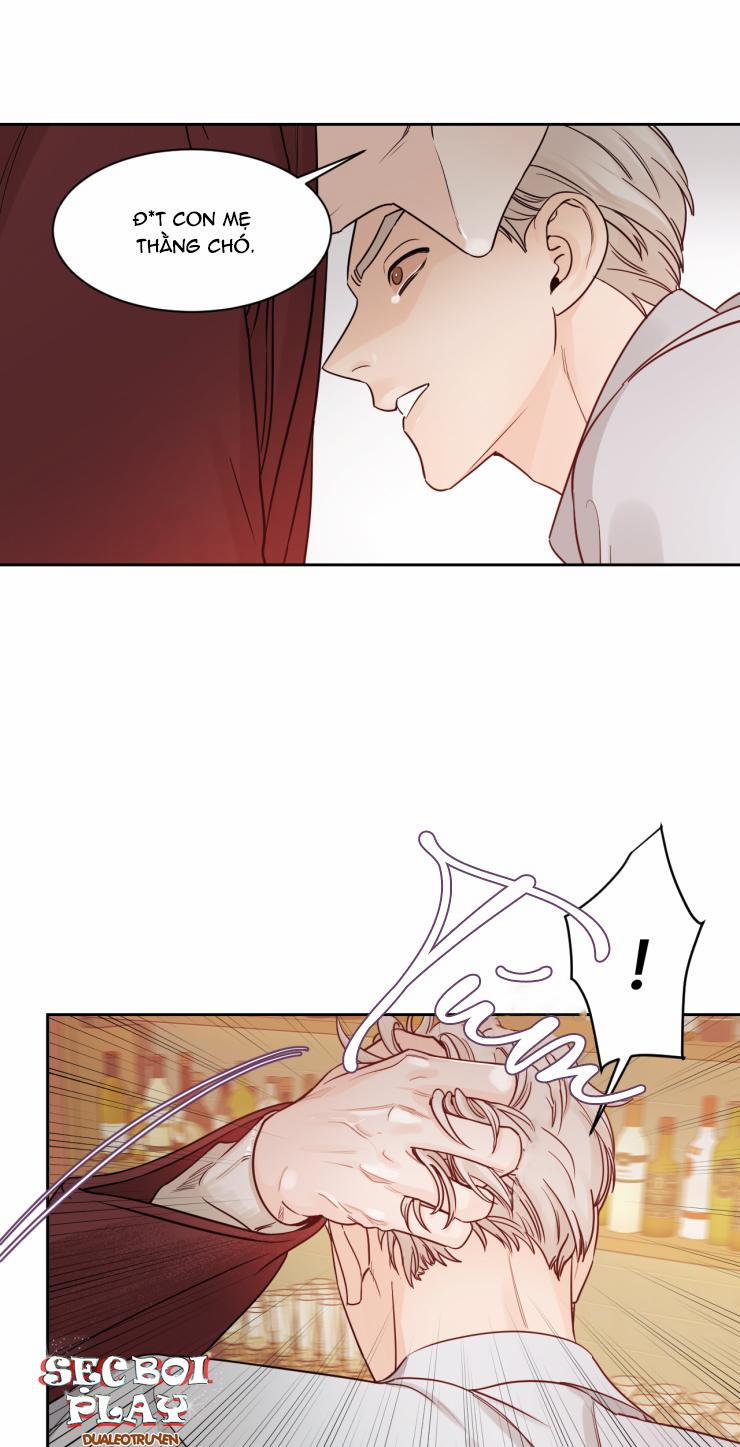 Lĩnh Vực Bóng Tối 8 trang 21