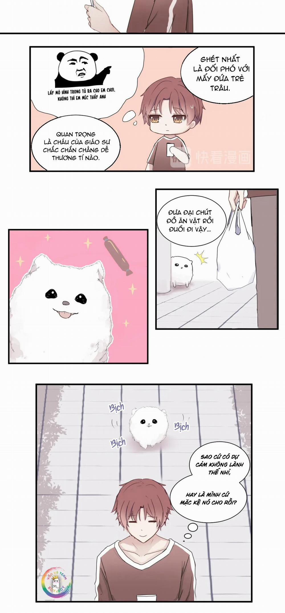 Liquor Gummies 1 trang 3