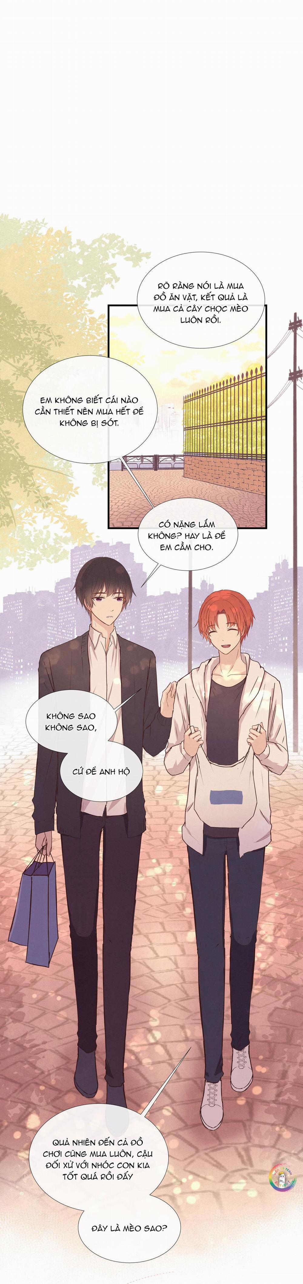 Liquor Gummies 10 trang 1