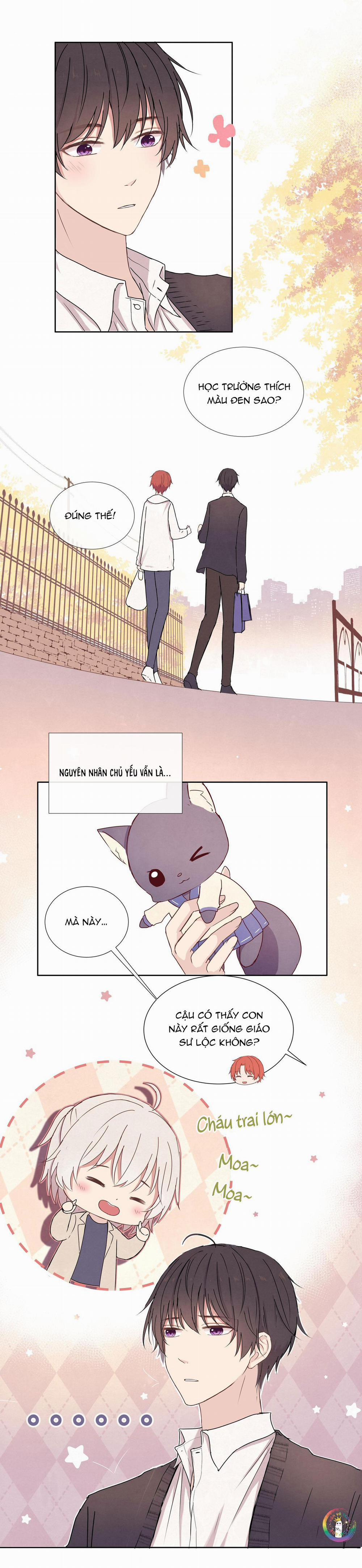 Liquor Gummies 10 trang 5