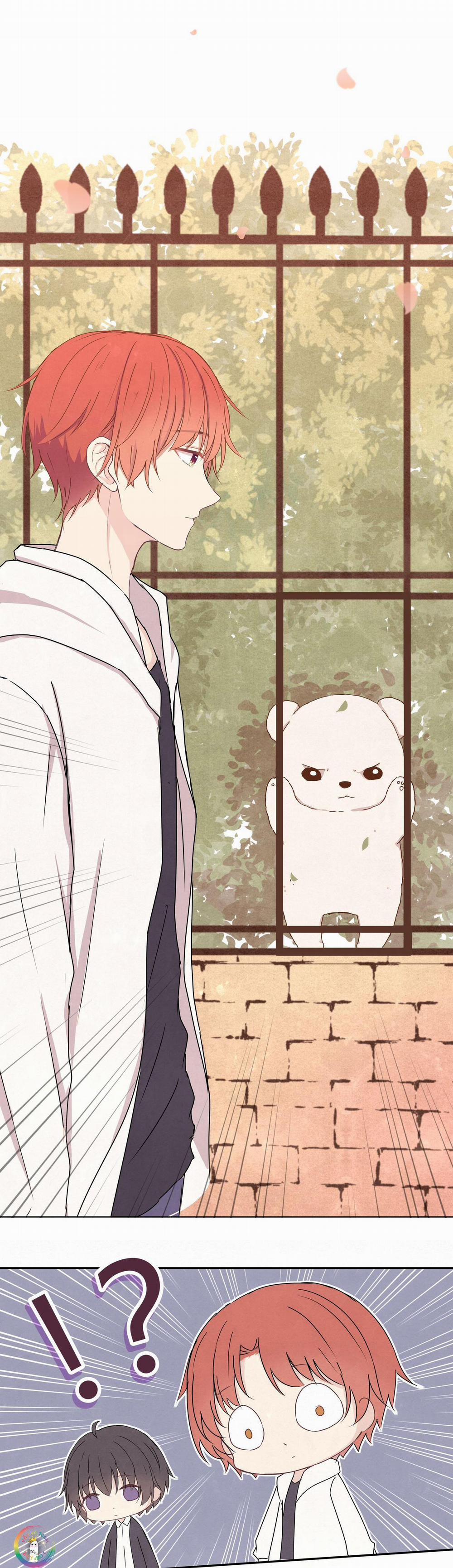 Liquor Gummies 10 trang 8