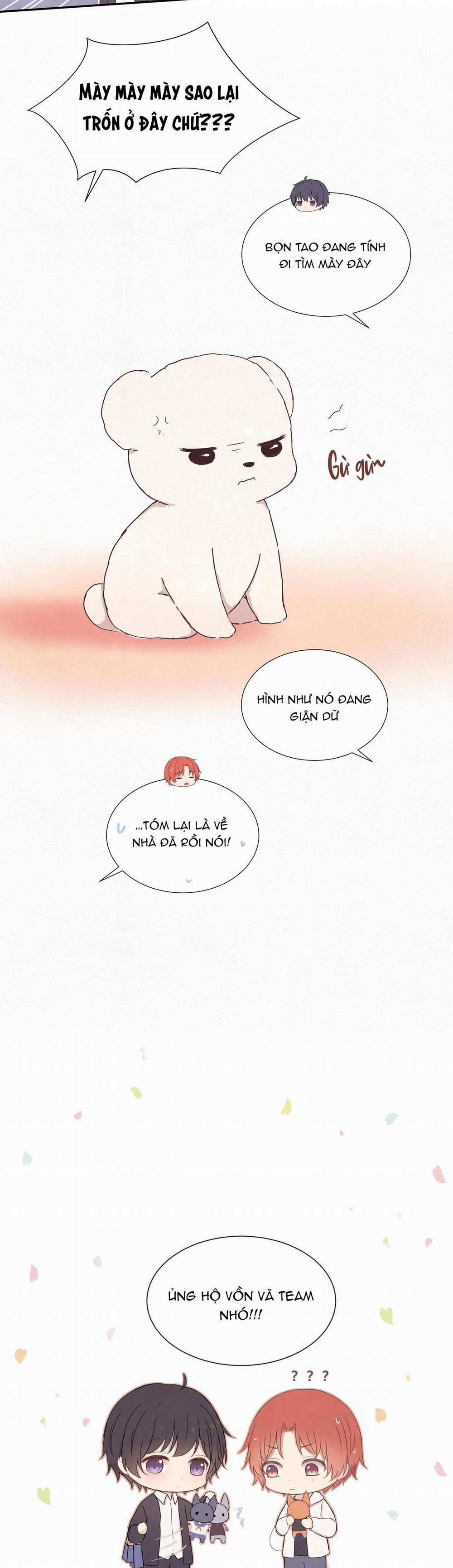 Liquor Gummies 10 trang 9