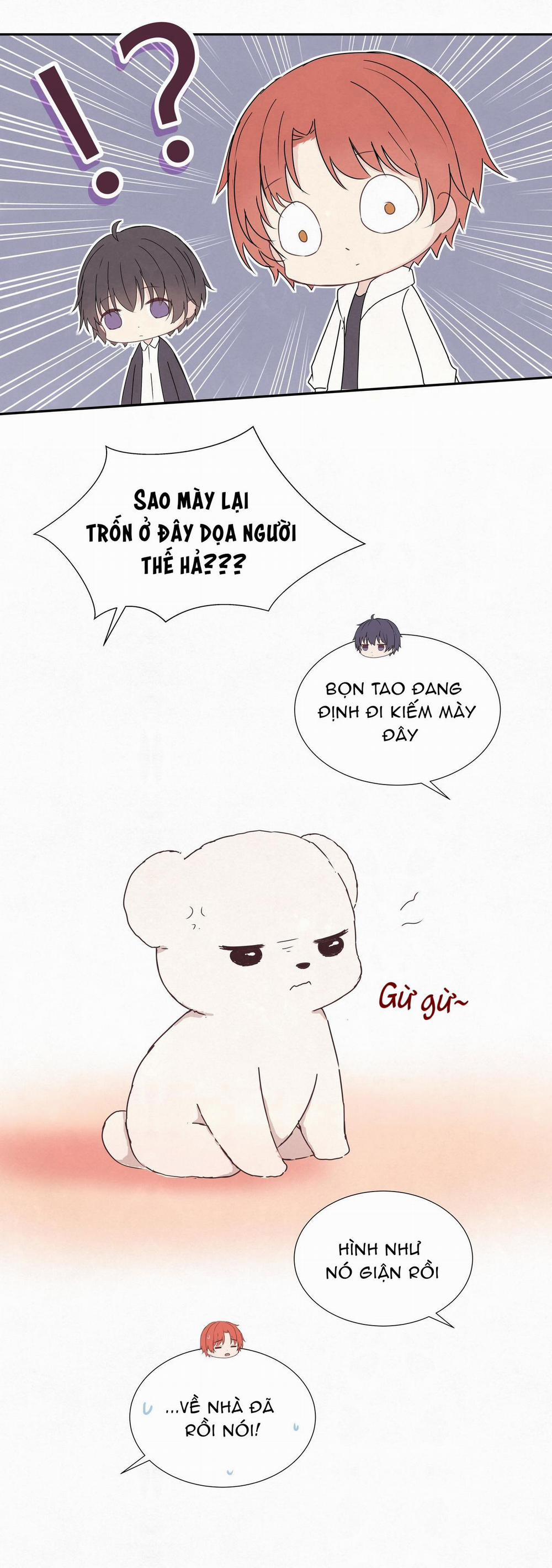 Liquor Gummies 11 trang 1