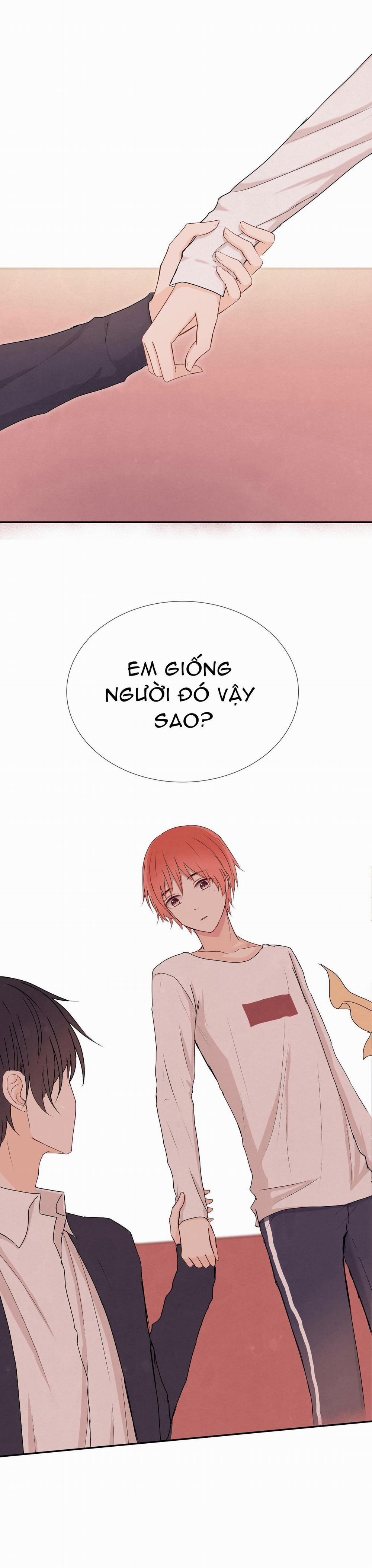 Liquor Gummies 11 trang 11