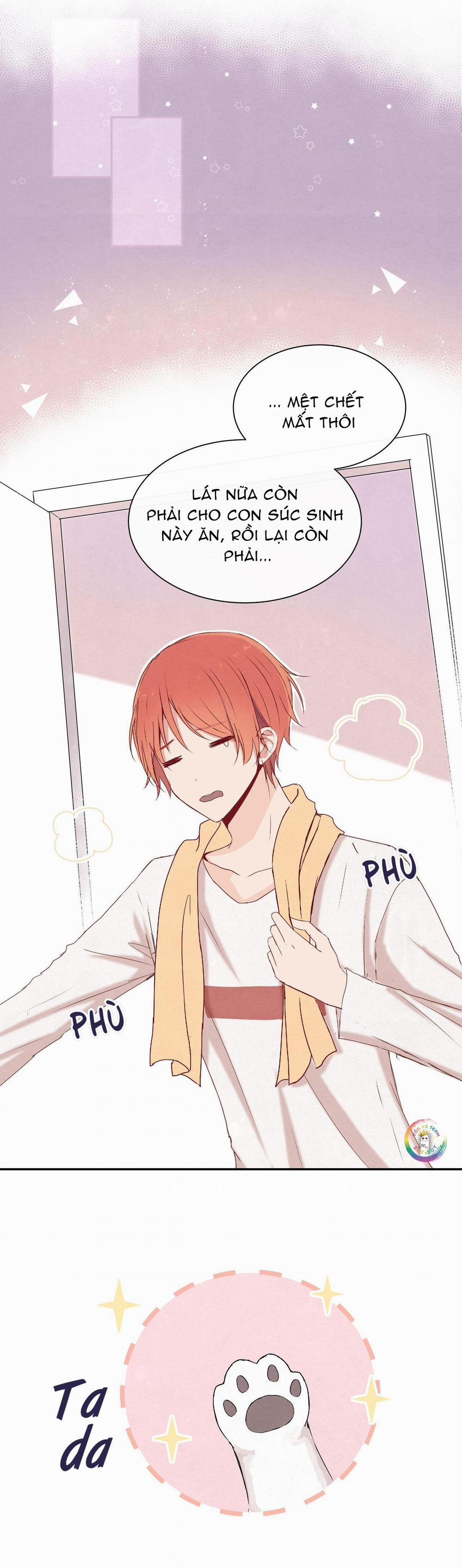 Liquor Gummies 11 trang 5