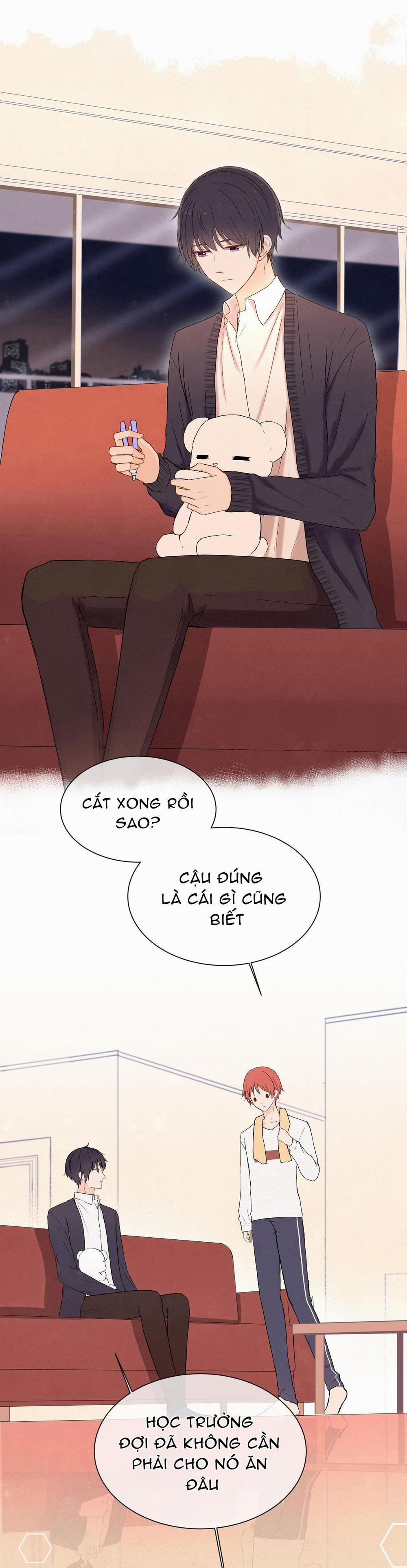 Liquor Gummies 11 trang 6