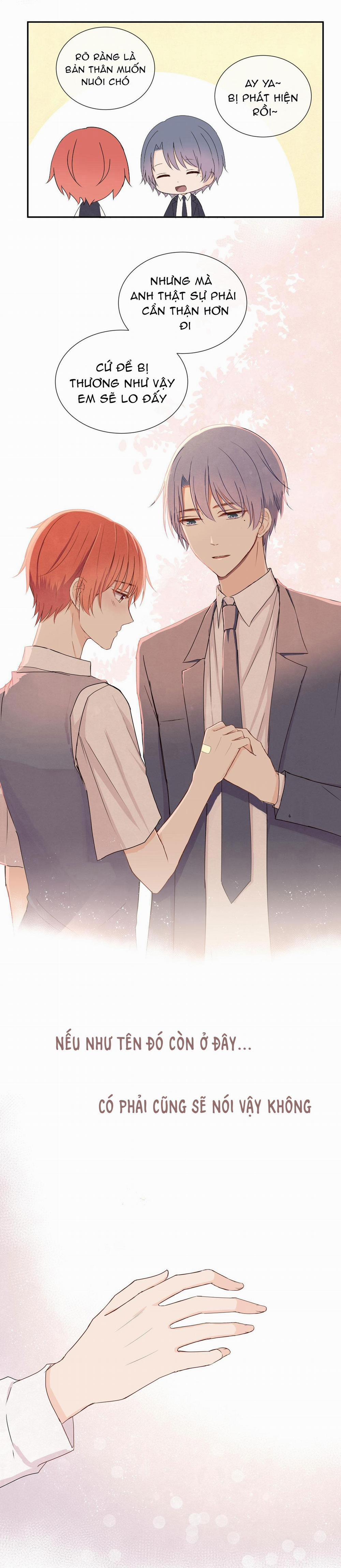 Liquor Gummies 11 trang 9