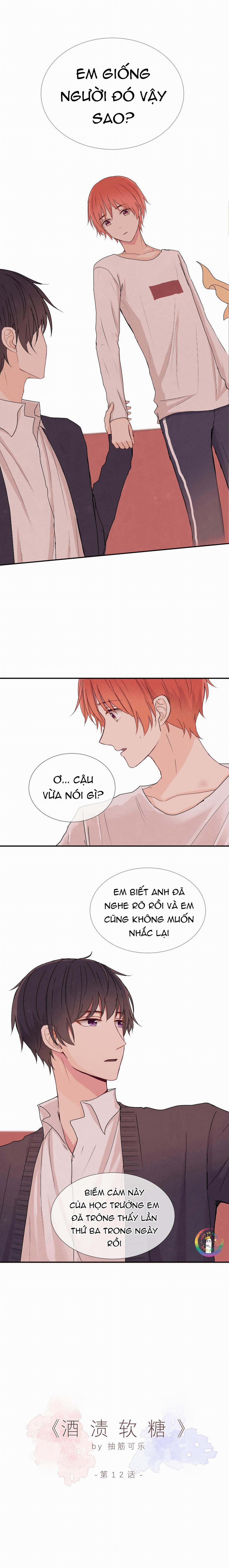 Liquor Gummies 12 trang 1