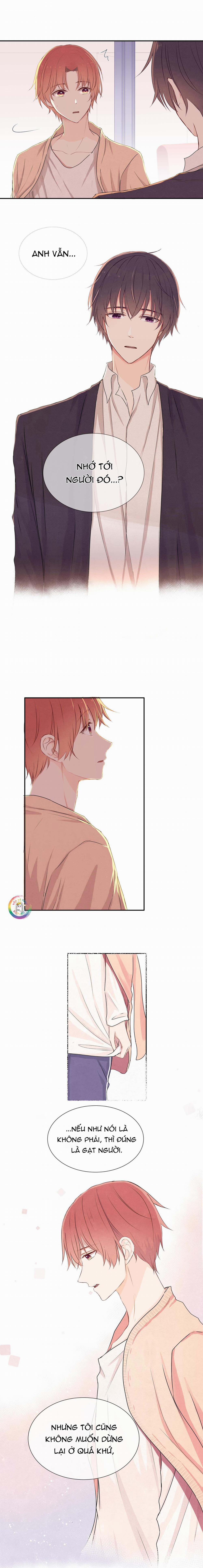 Liquor Gummies 12 trang 5