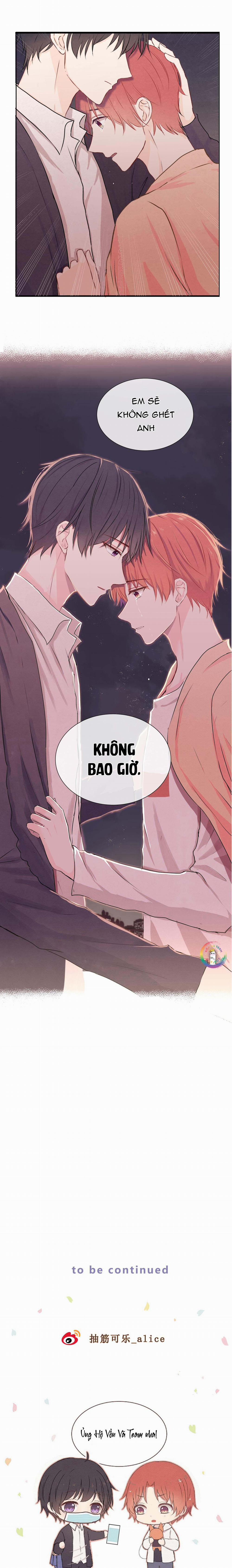 Liquor Gummies 12 trang 8