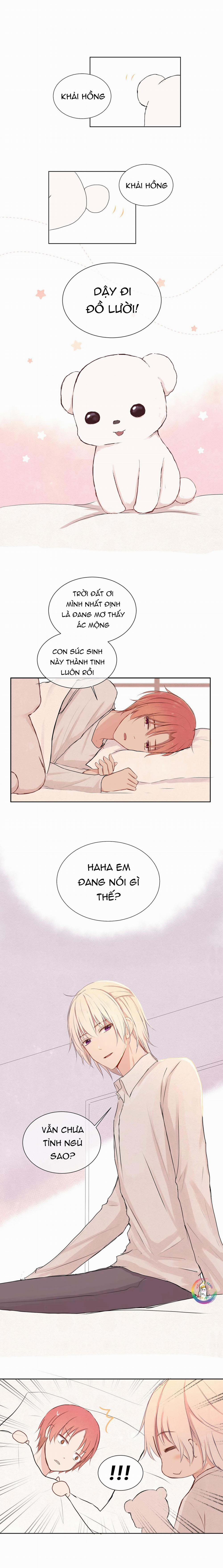 Liquor Gummies 13 trang 1