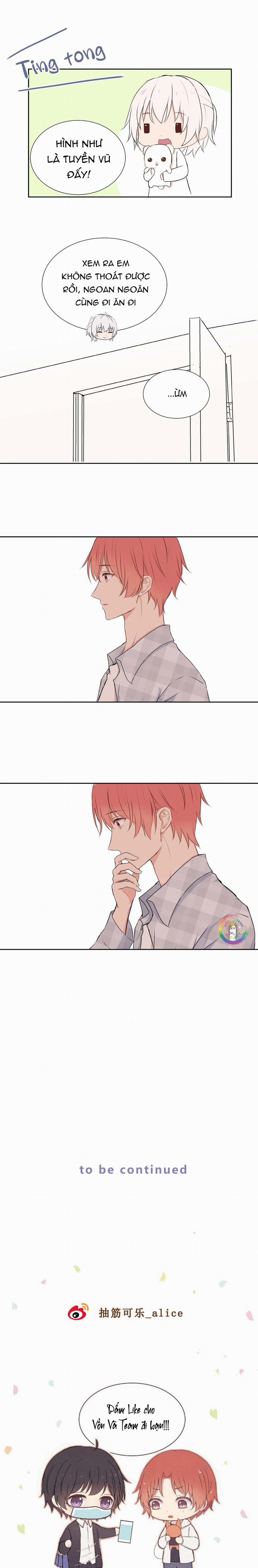 Liquor Gummies 13 trang 8