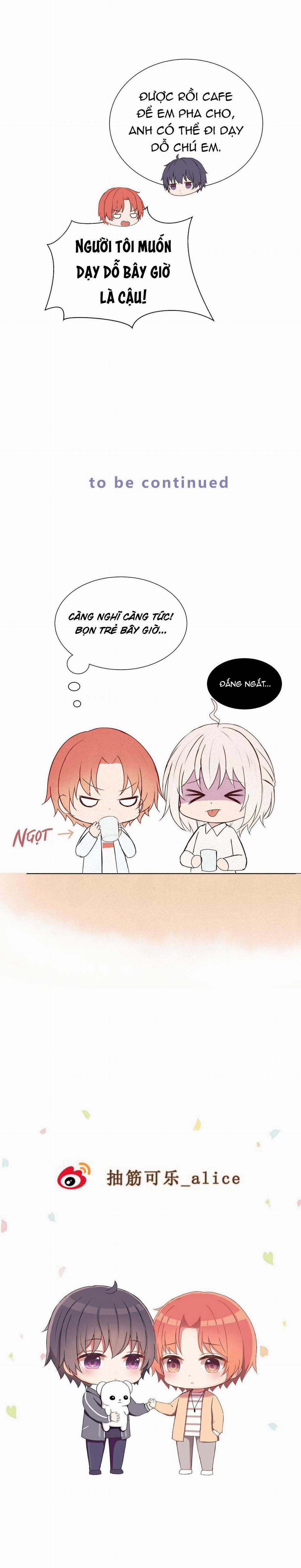 Liquor Gummies 14 trang 12