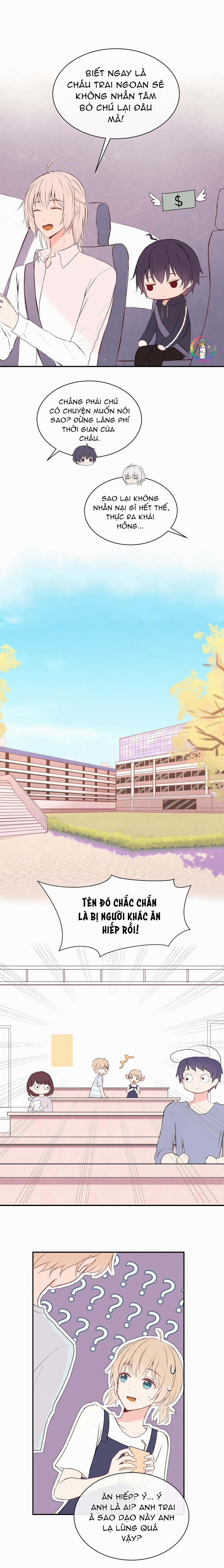 Liquor Gummies 15 trang 2