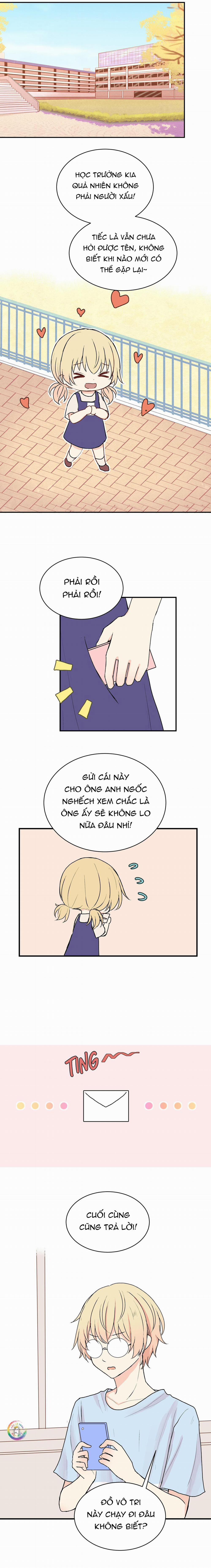 Liquor Gummies 16 trang 11