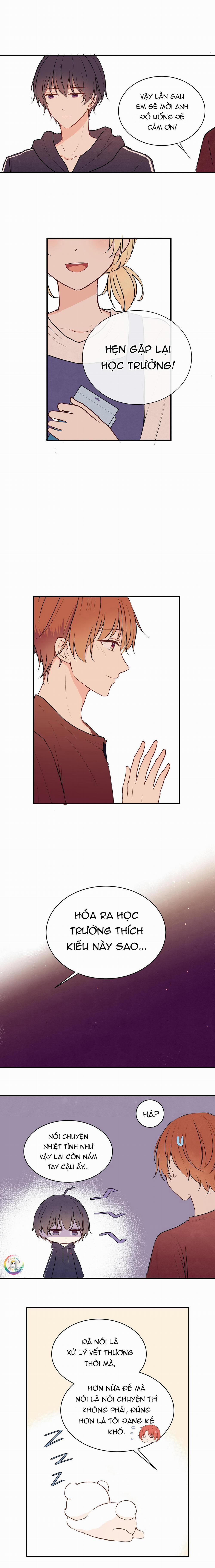 Liquor Gummies 16 trang 8